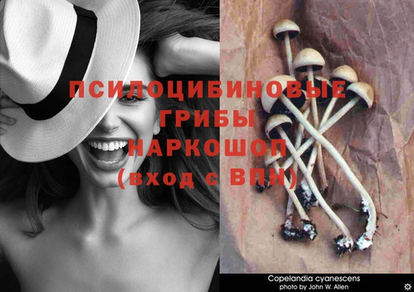 бутик Абаза