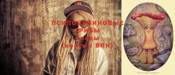 хмурый Алексин