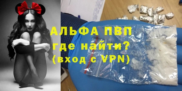 хмурый Алексин