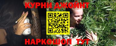гашик Кулебаки