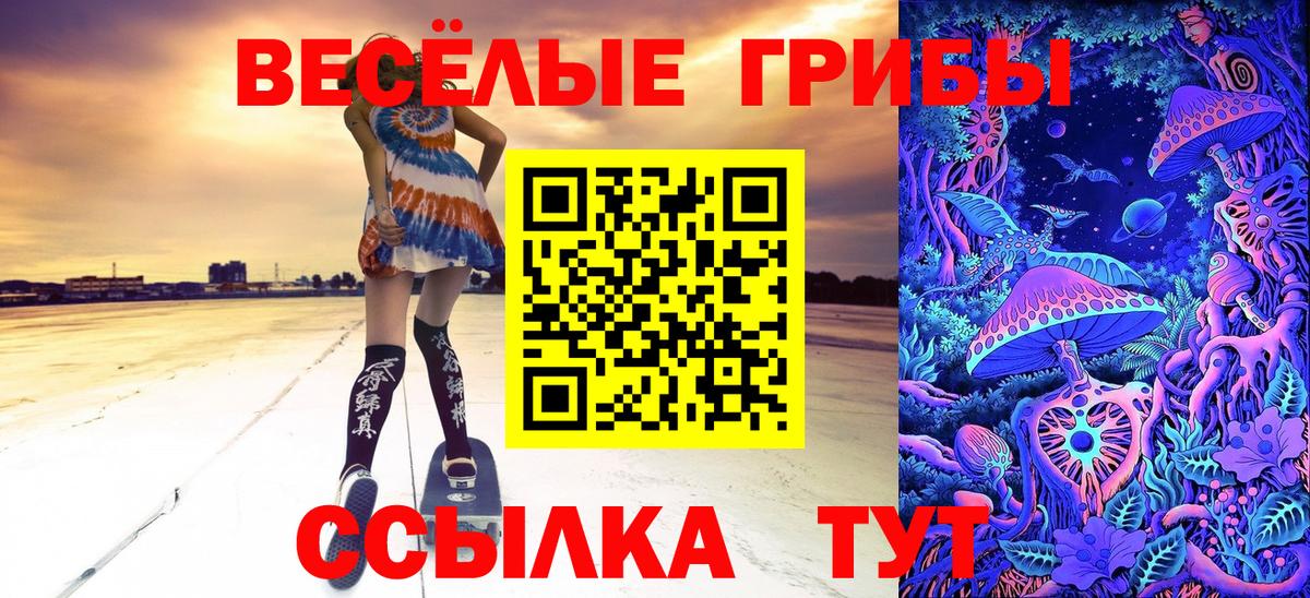 Псилоцибиновые грибы Psilocybine cubensis Кострома